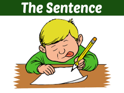 7 loại mẫu câu đơn giản trong tiếng Anh