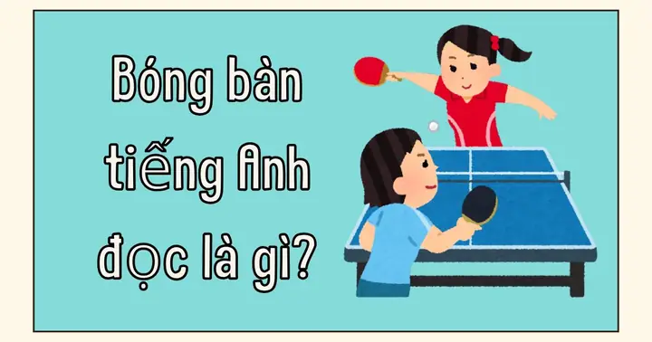 Ban A Tiếng Anh Là Gì