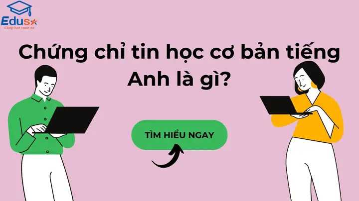 Banh Bàn Tiếng Anh Là Gì