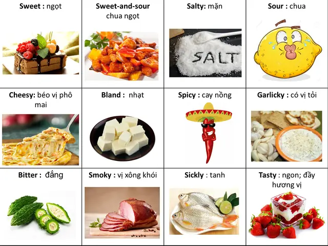Bland Tiếng Anh Là Gì Bland Tiếng Anh Là Gì