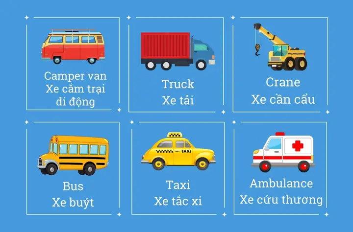 Bo Xì Tiếng Anh Là Gì Bo Xì Tiếng Anh Là Gì