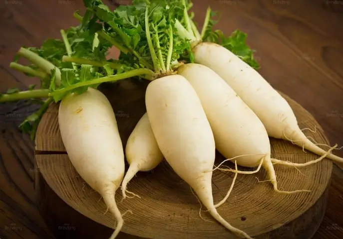 Cải Cách Tiếng Anh Là Gì