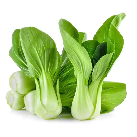 Cái Thìa Tiếng Anh Là Gì