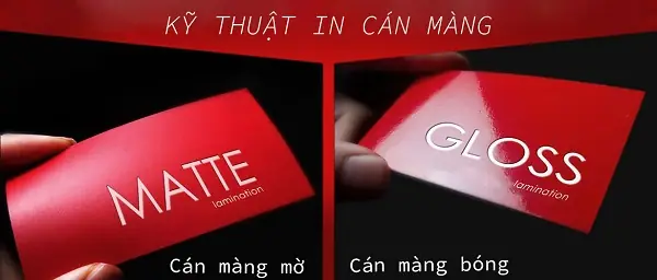 Cán Màng Tiếng Anh Là Gì