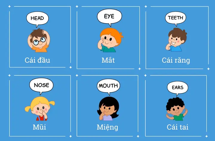 Chạm Mặt Tiếng Anh Là Gì