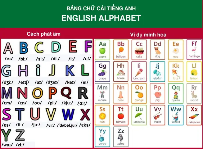 Chân Dài Tiếng Anh Là Gì