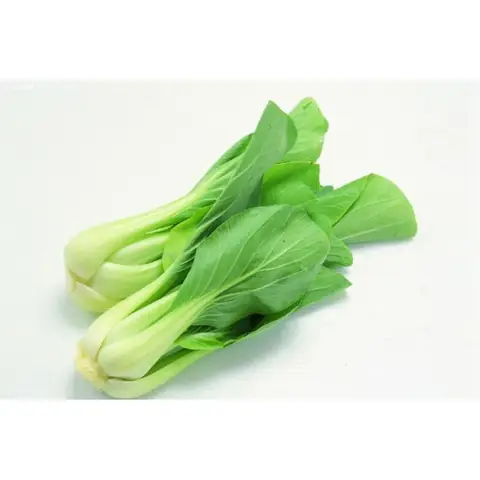 Chíp Chíp Tiếng Anh Là Gì