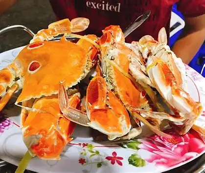 Con Ghẻ Tiếng Anh Là Gì Con Ghẻ Tiếng Anh Là Gì