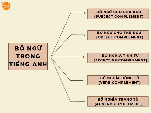 Dạng Tiếng Anh Là Gì