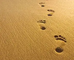 Dấu Chân Tiếng Anh Là Gì