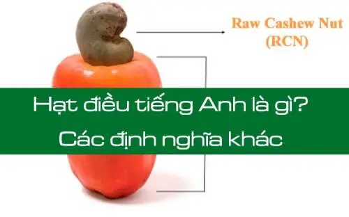 Điều Tiếng Anh Là Gì