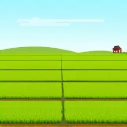 Đồng Ruộng Tiếng Anh Là Gì