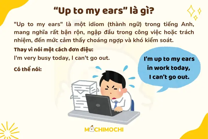 Ears Tiếng Anh Là Gì Ears Tiếng Anh Là Gì