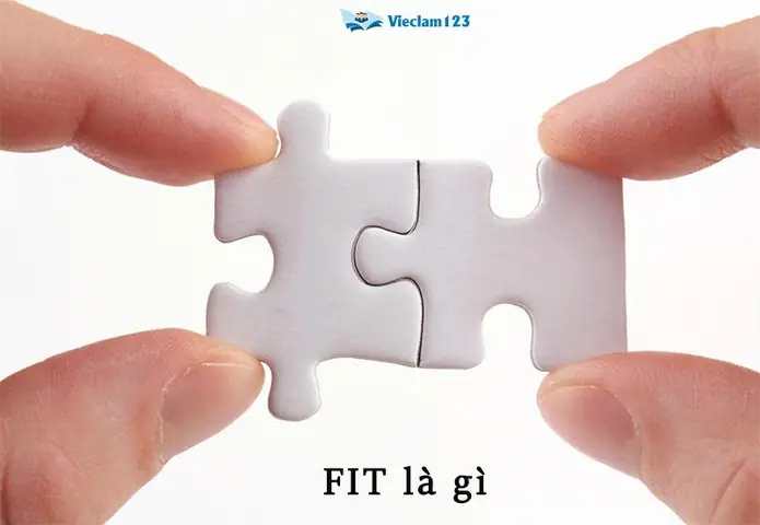 Fit Là Gì Trong Tiếng Anh Fit Là Gì Trong Tiếng Anh