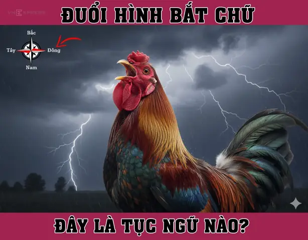 Gà Gáy Tiếng Anh Là Gì
