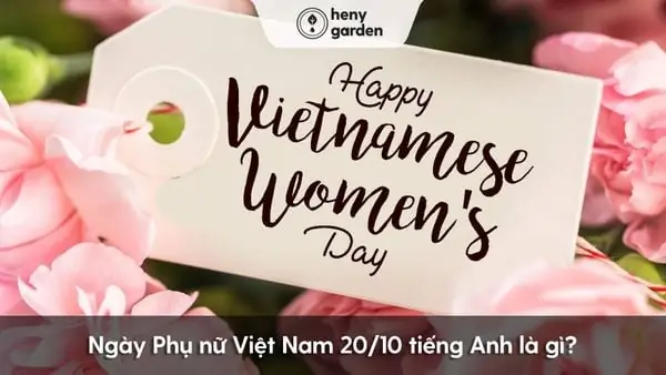 Giáo Hạt Tiếng Anh Là Gì