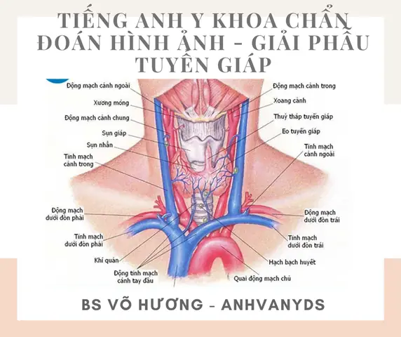 Hạch Tiếng Anh Là Gì