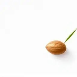 Hạt Thóc Tiếng Anh Là Gì Hạt Thóc Tiếng Anh Là Gì