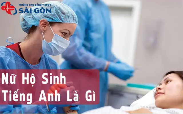 Hộ Sinh Tiếng Anh Là Gì Hộ Sinh Tiếng Anh Là Gì
