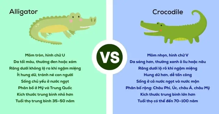 Hơn Tiếng Anh Là Gì Hơn Tiếng Anh Là Gì
