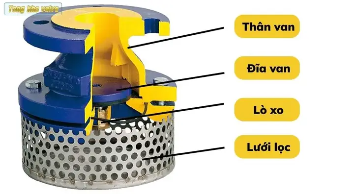 Luppe Tiếng Anh Là Gì Luppe Tiếng Anh Là Gì
