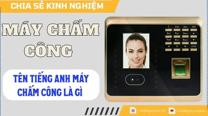 Mày Tiếng Anh Là Gì