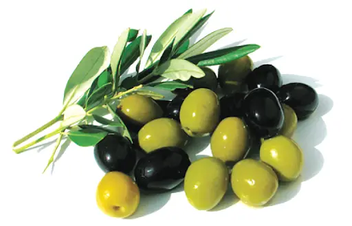 Olive Tiếng Anh Là Gì Olive Tiếng Anh Là Gì