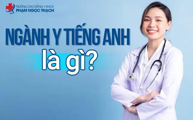 Ống Nghe Tiếng Anh Là Gì