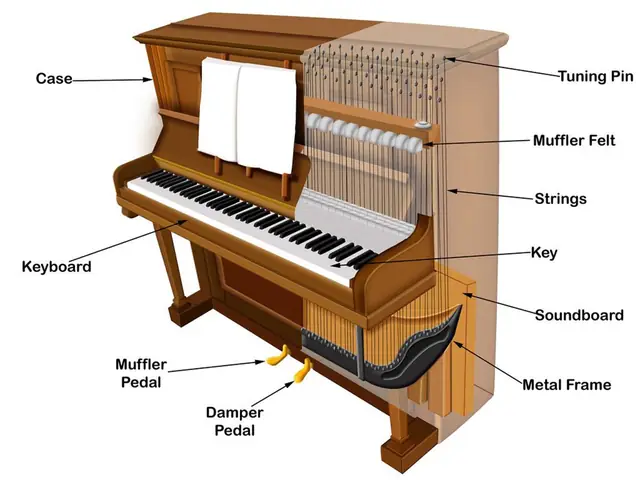 Piano Cơ Tiếng Anh Là Gì