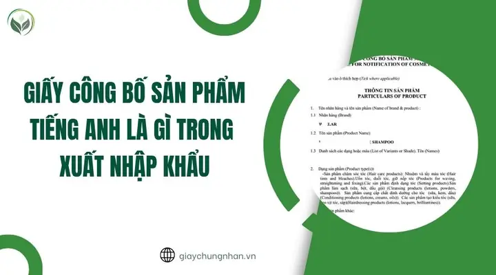 Products Là Gì Trong Tiếng Anh
