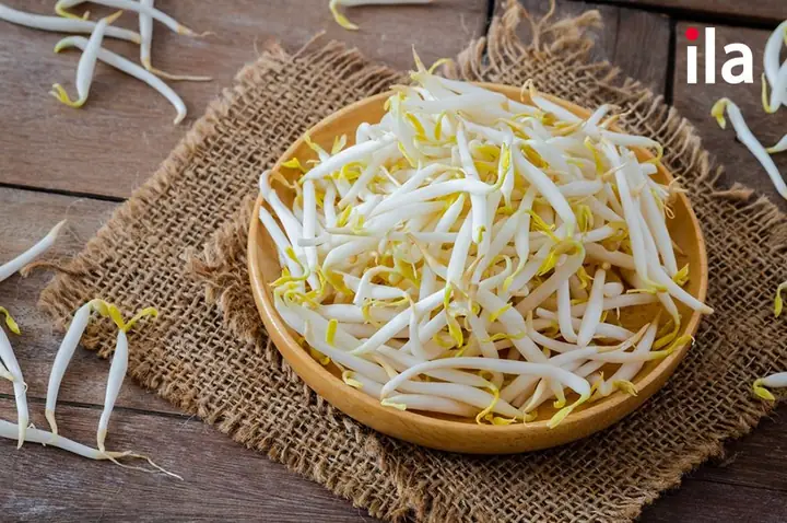 Rau Giá Tiếng Anh Là Gì Rau Giá Tiếng Anh Là Gì