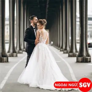 Rễ Tiếng Anh Là Gì