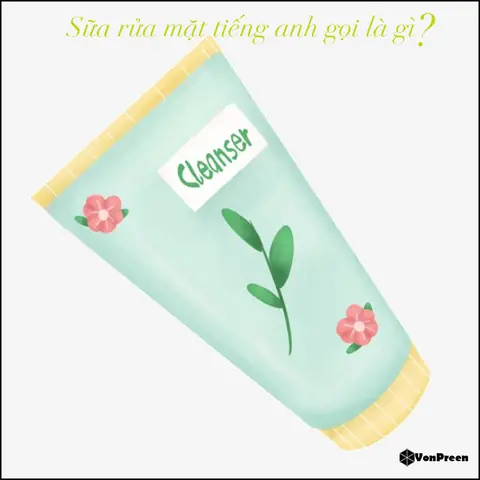 Rửa Tiếng Anh Là Gì