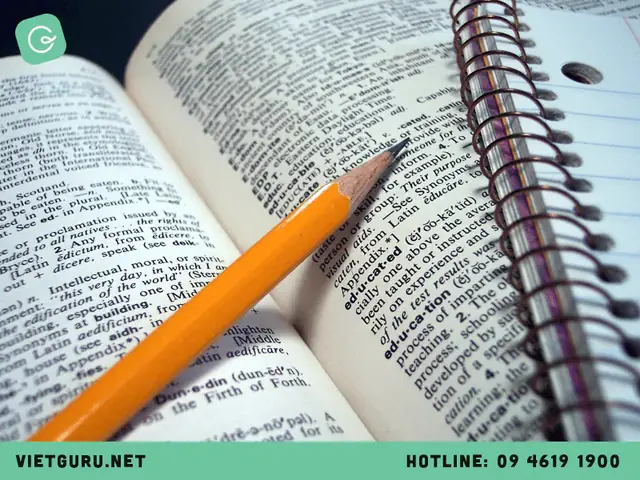 Sting Tiếng Anh Là Gì Sting Tiếng Anh Là Gì