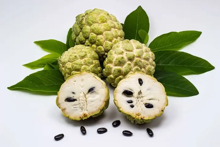 Sugar Là Gì Tiếng Anh Sugar Là Gì Tiếng Anh