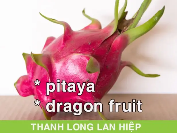 Thăng Long Tiếng Anh Là Gì Thăng Long Tiếng Anh Là Gì