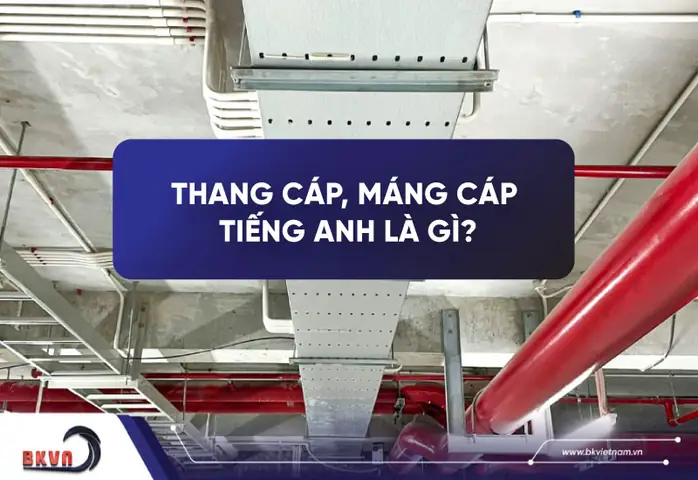 Thắng Tiếng Anh Là Gì