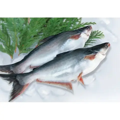 Trả Tiếng Anh Là Gì