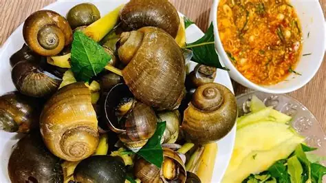 Ăn Ốc Tiếng Anh Là Gì Ăn Ốc Tiếng Anh Là Gì