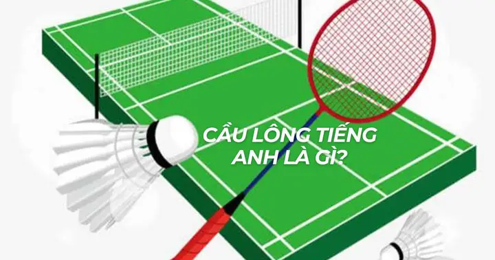 Bộ Lông Tiếng Anh Là Gì