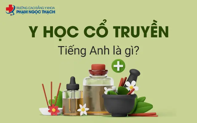 Đồng Phạm Tiếng Anh Là Gì Đồng Phạm Tiếng Anh Là Gì