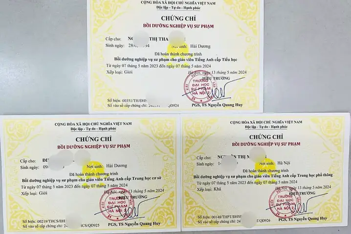Giáo Vụ Tiếng Anh Là Gì