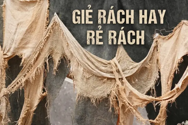 Giẻ Rách Tiếng Anh Là Gì