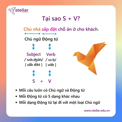 Hoàn Chỉnh Tiếng Anh Là Gì