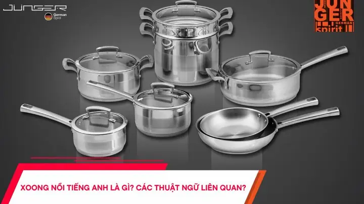 Khử Trùng Tiếng Anh Là Gì