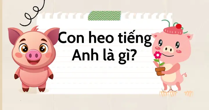 Lăng Mạ Tiếng Anh Là Gì Lăng Mạ Tiếng Anh Là Gì