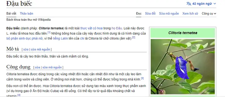 Mã Hóa Tiếng Anh Là Gì