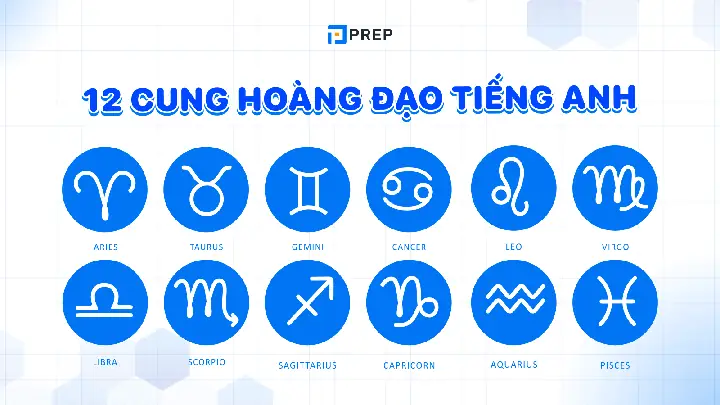 Mèo Hoang Tiếng Anh Là Gì Mèo Hoang Tiếng Anh Là Gì