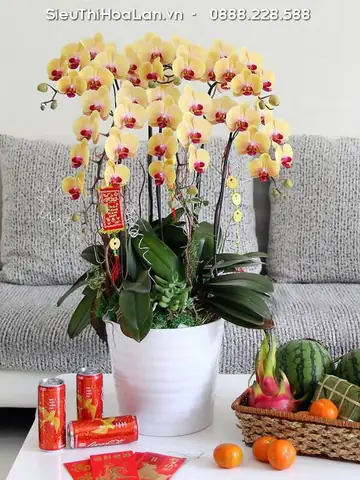 Mừng Rỡ Tiếng Anh Là Gì Mừng Rỡ Tiếng Anh Là Gì