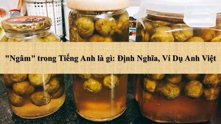 Ngâm Trong Tiếng Anh Là Gì